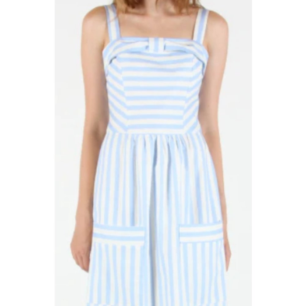 Birds of North America Hummingbird Dress in Blue and White Stripe